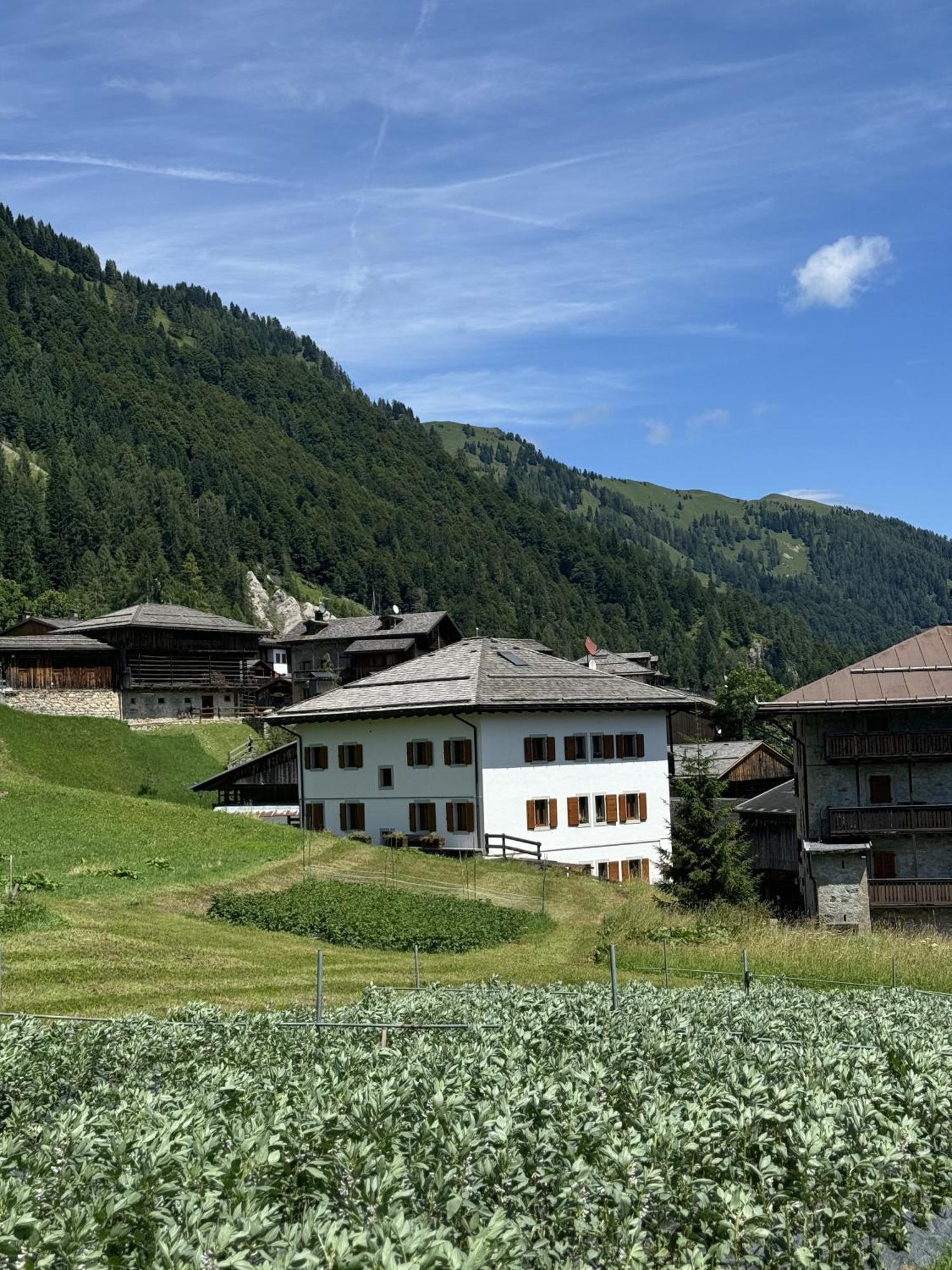Neider Hotel - Alpine Retreat Sauris Exterior foto